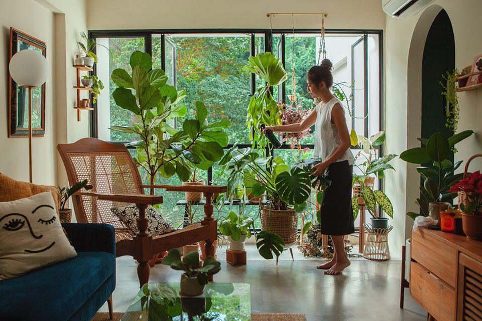 Plantonic - Lifestyle (2)