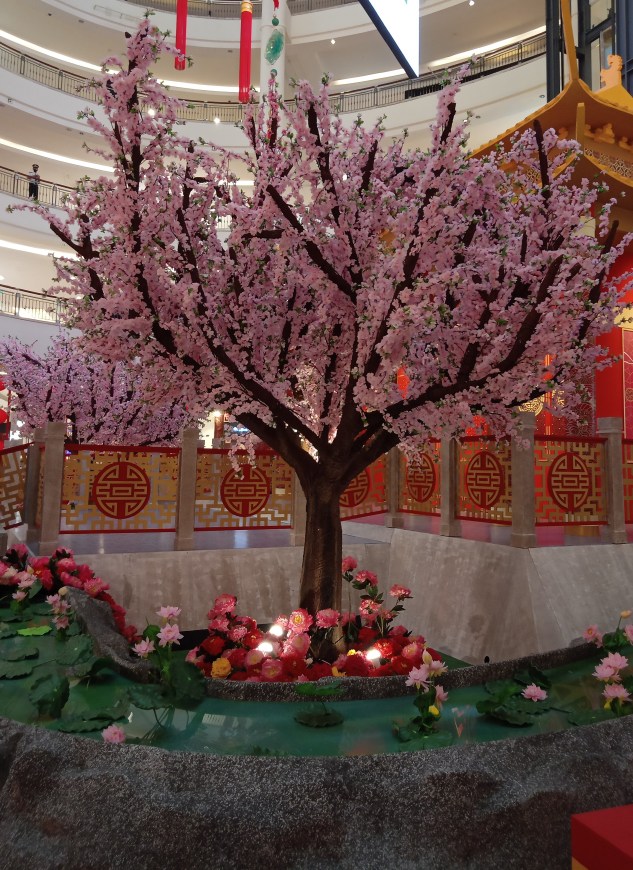 IMG20220120172224 (2)