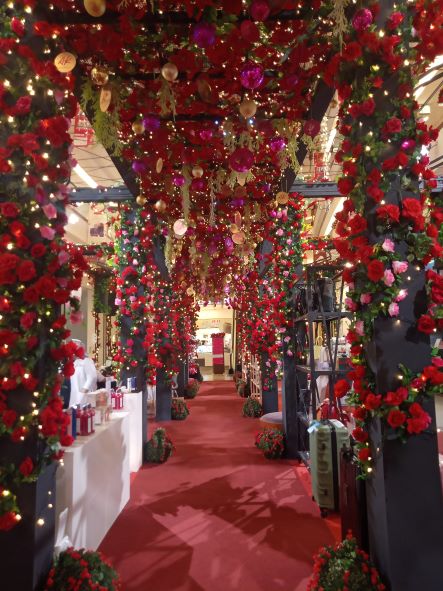 IMG20221129114533 (2)