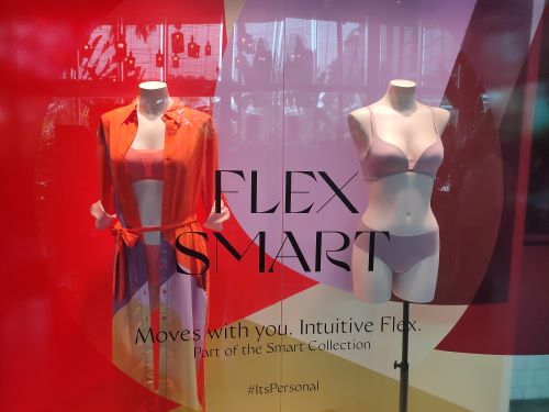 FLEX SMART TRIUMPH TAWAR KESELESAAN SETIAP&nbsp;WANITA